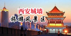 大鸡巴操白虎网站中国陕西-西安城墙旅游风景区